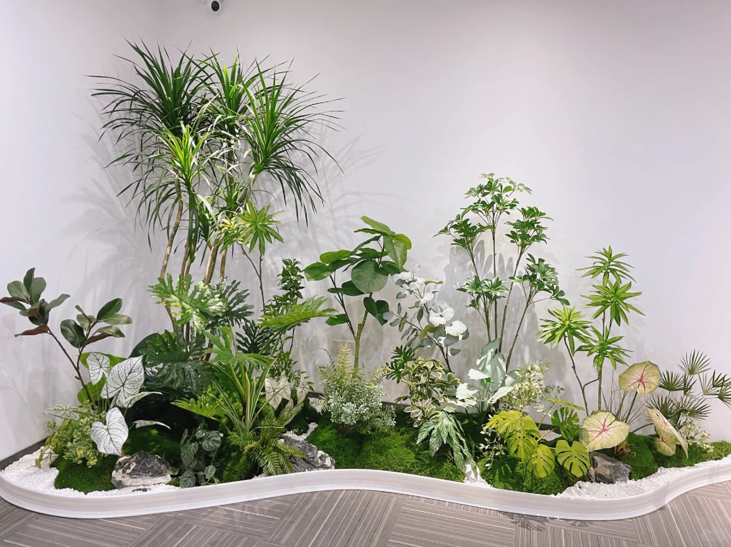 专业绿化修剪,宁波鄞州的绿植养护秘籍大公开!